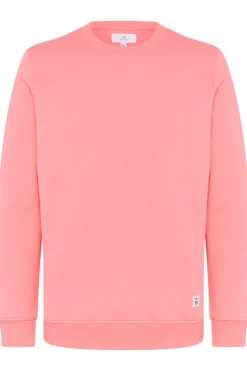 MAmaximus M73 Pullover